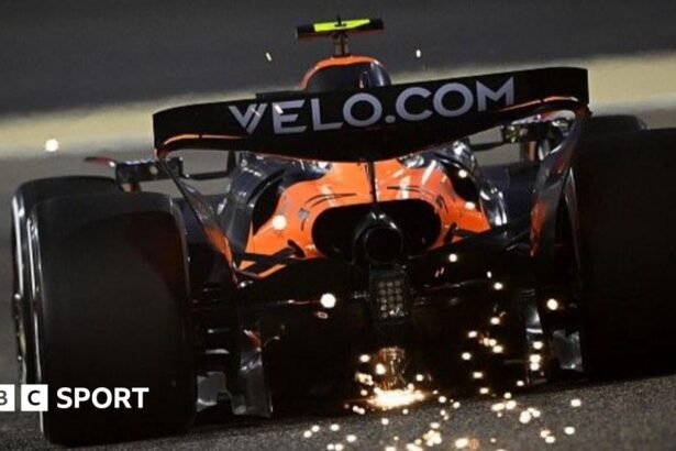 Bahrain Grand Prix 2025: Norris and Piastri fastest in practice
