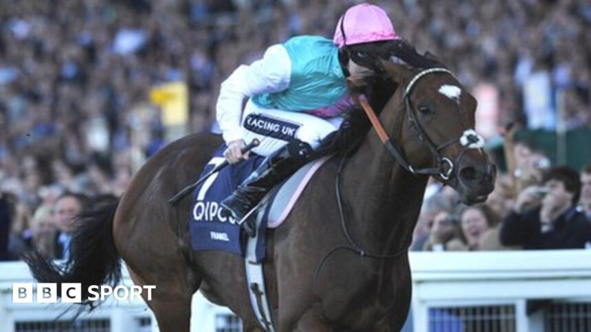 Frankel and Black Caviar offered £1m Goodwood incentive